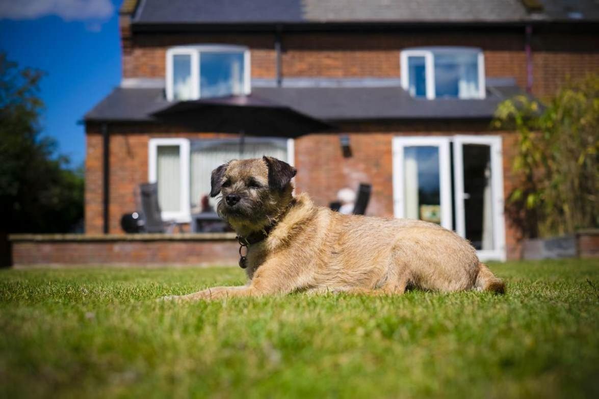 End Cottage フェイクナム エクステリア 写真